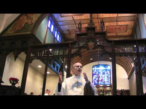 Is a Perfect Record Enough? 2012 01 08 Baptism of the Lord with FrDavidBarker.mov