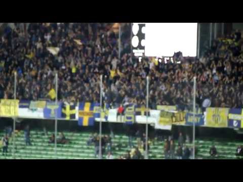 Veronesi !!!!       MVI_4018