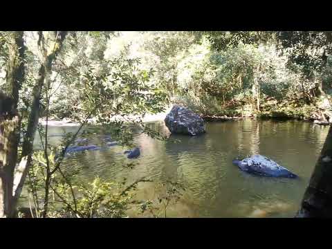 Borin Caminho das Pedras,Cascata Bento Goncalves  Caminho das Pedras Borin Visita a Cascata