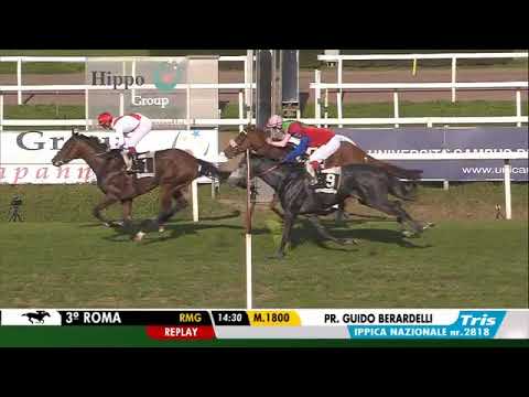 2020.11.08 Premio Guido Berardelli (ITA) - Isfahani