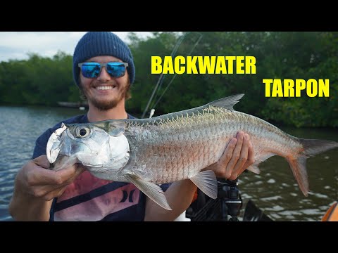 Fishing Backwater for Tarpon on YouTube