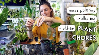 Setting My Imports Up For SUCCESS + Fun Plant Chores 🌿