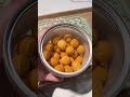 Makanan kucingku hari ini