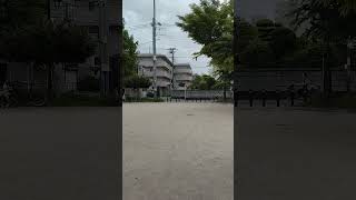 天理教について #高市政権 #天理教 #立花孝志 #n国