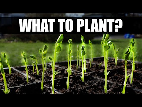 Garden Quickies Volume 1 Episodes 1 to 10