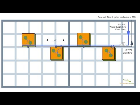 Dutch Buckets 101 | How to Set Up a Dutch Bucket Hydroponic System in a Greenhouse