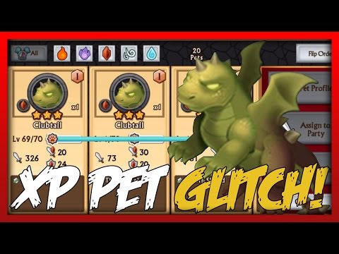 Knights and Dragons - XP Pet Glitch?!?