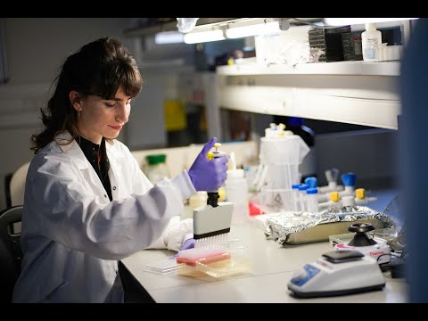 World Health Day 2022: Spotlight on Technion researchers focusing on human health