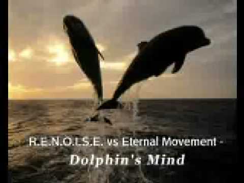 R.E.N.O.I.S.E. vs Eternal Movement - Dolphin's Mind