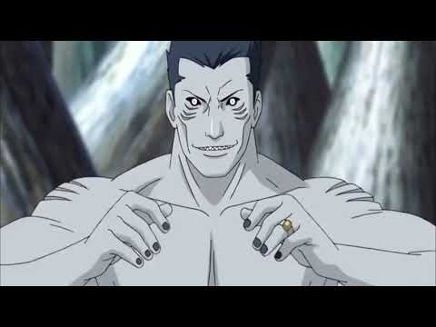 朝孔雀