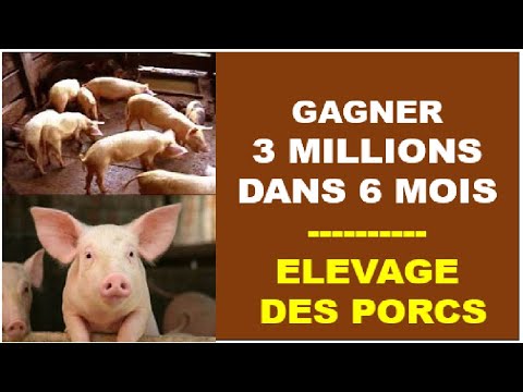 , title : 'Comment Gagner 3 millions FCFA grâce à l'Elevage de Porcs dans 6 mois'