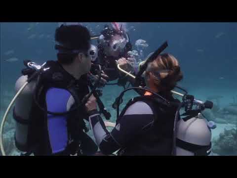 Scuba School - PADI DSD
