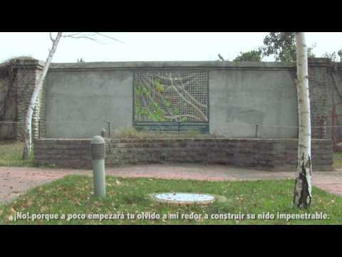 Marta Ugarte - Desvelo.