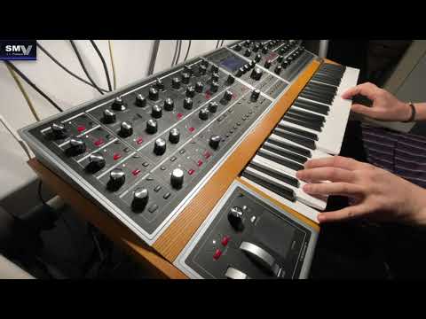 Moog One Sounds - No talking