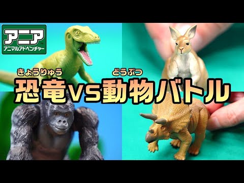 【公式】アニア おはなし『夢の対決！恐竜vs動物バトル！』【タカラトミーキッズ】おもちゃ | ジャイアントアクションツリー | どうぶつ | animal | dinosaur