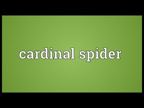 Cardinal spider Meaning