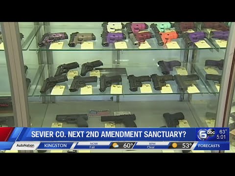 Sevier County Voting On Second Amendment Sanctuary