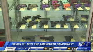 Sevier County voting on Second Amendment sanctuary