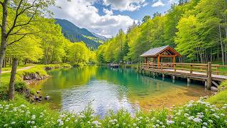 "The Moon Floats in the Sky" Beautiful Relaxing Music, Peaceful Instrumental Music by Love YourSelf