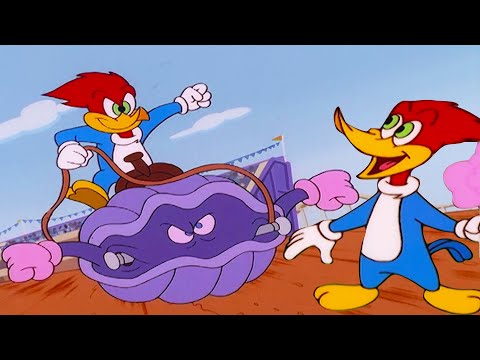 Woody Races a Clam!  | Woody Woodpecker