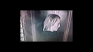 Disembodied DEMONS Just Outside Visible Light