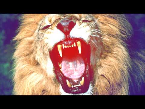 [HARDSTYLE] Martin Garrix - Animals (Dj Isaac Remix) (Fortiz Edit)