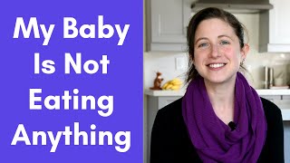 How to Get My Baby to Eat (8 months Starting Solids)