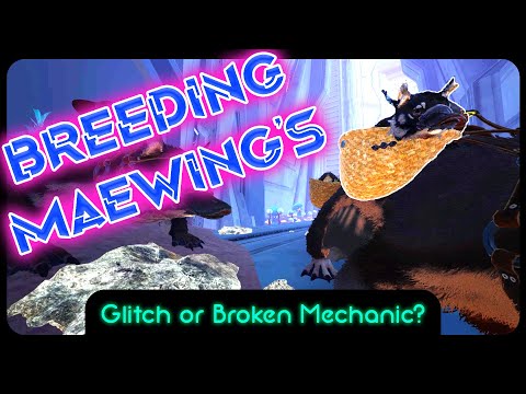 Breeding Maewing's | Is this a glitch or intended? | Ark Genesis 2 |