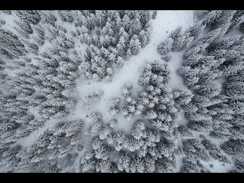 Winter travel -  Skiing, the magic of silence & a cozy little cabin close to Lillehammer Part. 1