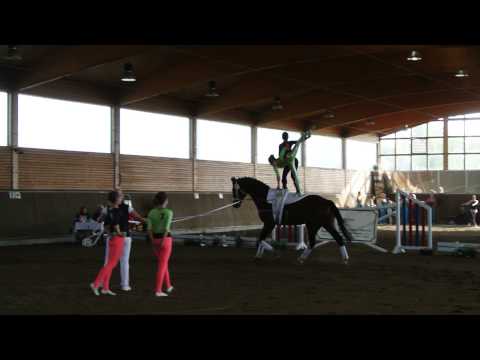 M-Team Königsborn Landesmeisterschaft 2014 Zerbst - Kür 2. Tag