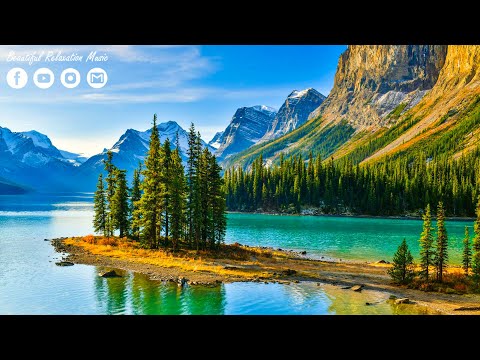 Лечебная музыка для сердца и сосудов 🌿 Нежная музыка, успокаивает нервную систему и радует душу #23