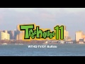 Treehouse11 Ident