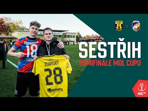 FK Nové Sady - FC Viktoria Plzeň | SESTŘIH OSMIFINÁLE MOL CUPU