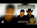 Chico Rey & Paraná - Espinho Na Cama (Sucessos De Ouro Vol. 15)(Áudio Oficial)