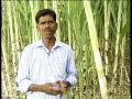 Pon Vilaiyum Bhoomi 01 11 2013