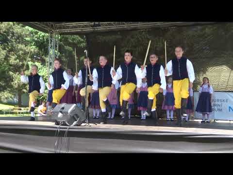 DFS JITŘENKA (Č. Krumlov) - FF Polabská vonička 2023, č.1/18