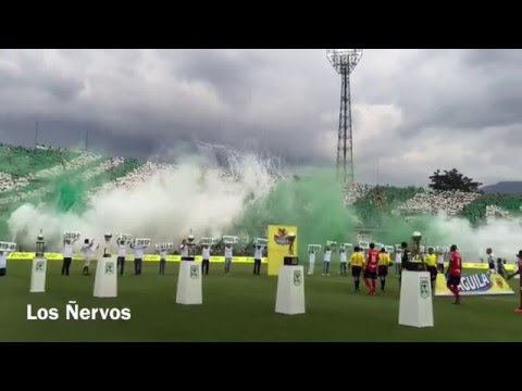 "13/12/2015. Los del Sur de Fiesta." Barra: Los del Sur &bull; Club: Atlético Nacional