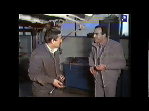 Tre yje - Humor Sevdai Radogoshi