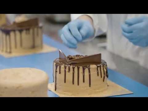 download lagu mp3 mp4 Bright Blue Foods, download lagu Bright Blue Foods gratis, unduh video klip Bright Blue Foods