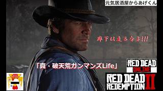 Red Dead Redemption 2  レッド・デッド・リデンプション2「真・破天荒ガンマンズLife」VOL2：もう一度言う、ショットガンの扱いには気をつけろ・・