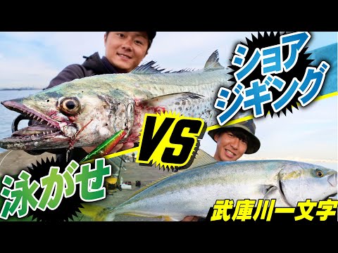 【ショアジギングvs泳がせ】青物対決！秋の武庫川一文字編【どっちが釣れる？】