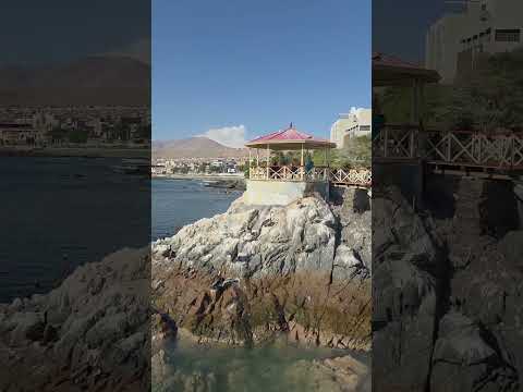Hermoso puerto de Ilo 🏖🏖 #vacancy #peru #moquegua #viajes #shortvideo