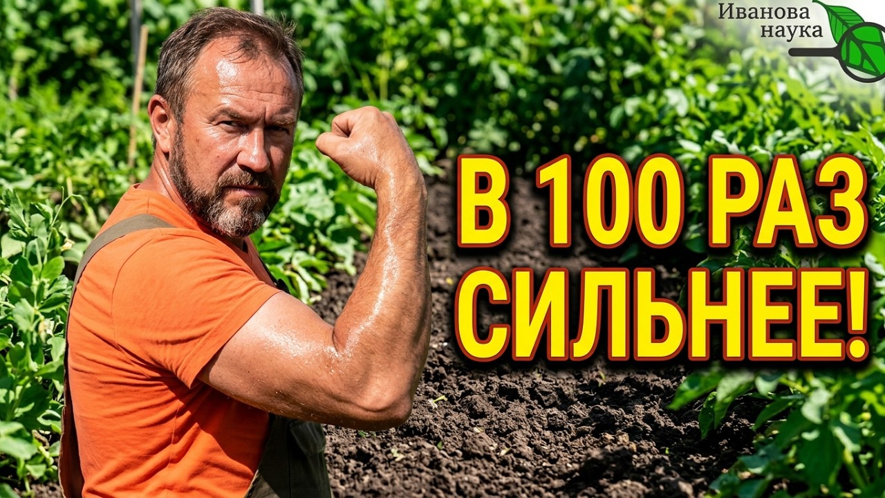 💥СИДЕРАТЫ В 100 РАЗ СИЛЬНЕЕ! Одна ложка при перекопке и ОГОРОД КАК НОВЫЙ! Улуч