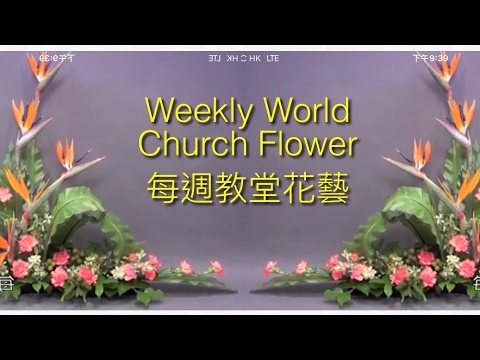 Sắp xếp hoa, thiết kế Gordon Lee hoa, hoa của nhà thờ, hoa nghệ thuật , CH4