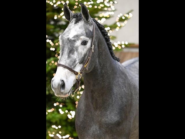 Air Force One - walk & 360