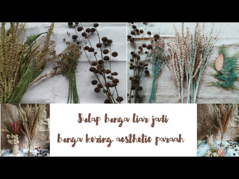 DIY: bunga kering dari bunga liar sekitar rumah 🌾