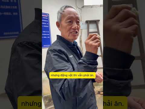 Dốc cạn lương hưu 10 năm duy trì sở thú trên núi hoang: Cái kết ấm lòng của cụ ông 70 tuổi