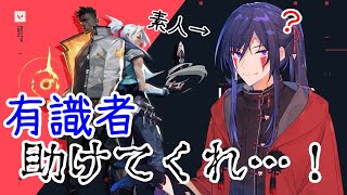 【VALORANT】ぺーぺーのぺーの初心者が行くんで助けてください