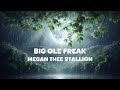 Megan Thee Stallion Big Ole Freak Lyrics