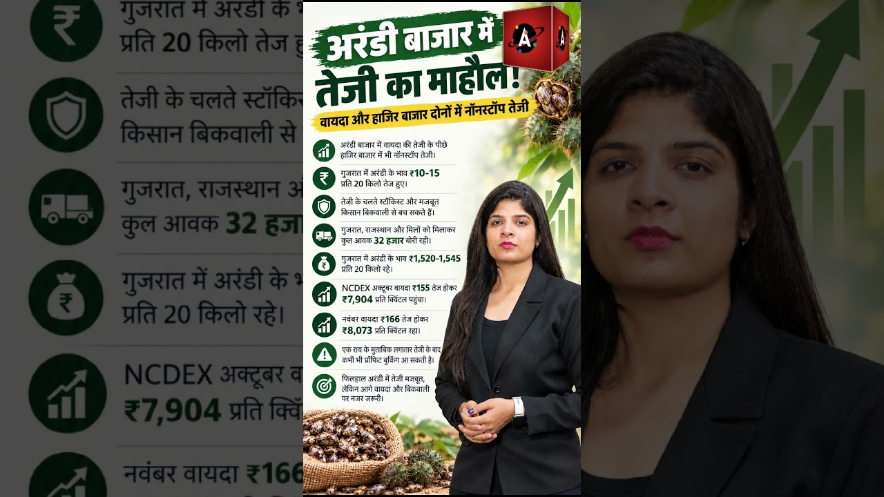 Castor seeds अरंडी मे लगातार तेजी , दीक्षा की रिपोर्ट